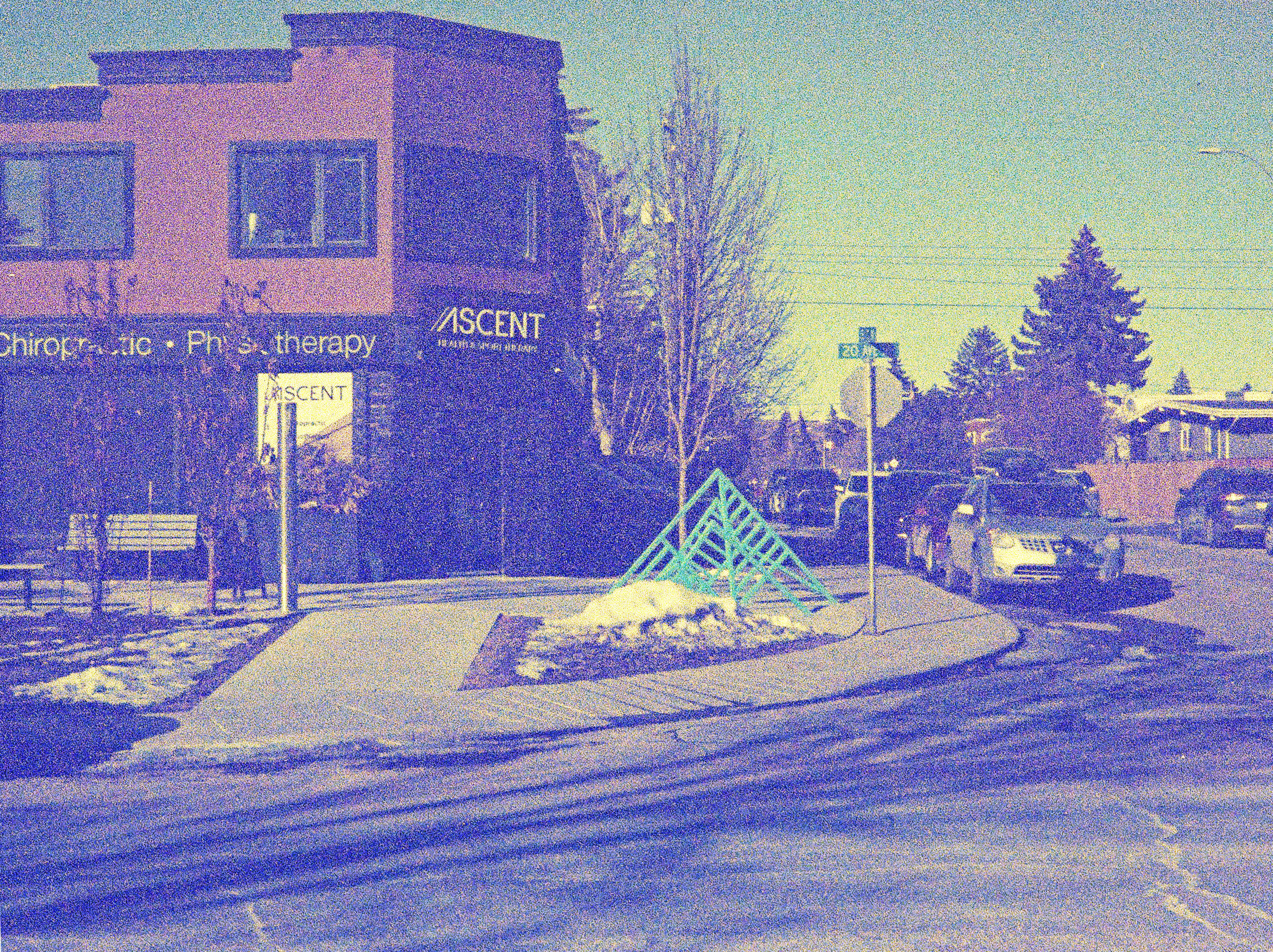 Photographed in bright February sun